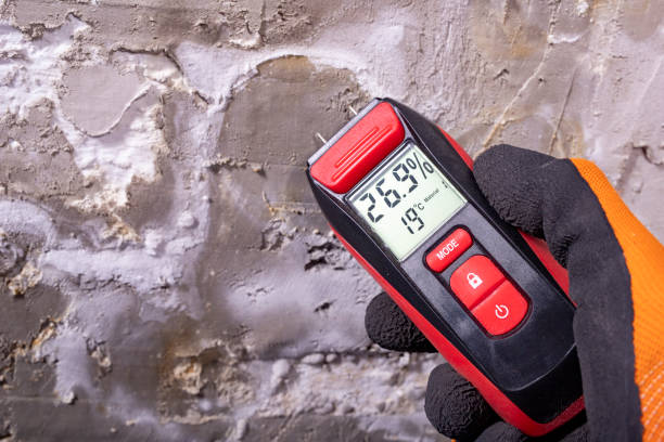 Best Professional Mold Removal  in Hermantown, MN