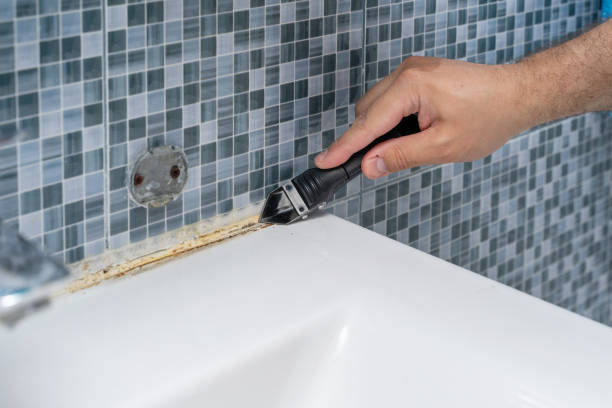 Best Mold Testing  in Hermantown, MN
