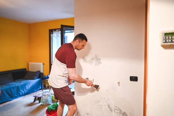 Best Emergency Mold Removal  in Hermantown, MN